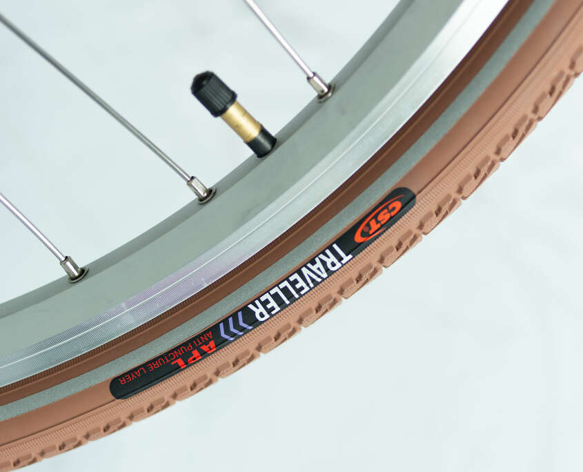 E-Bike Rot Detail Reifen 2