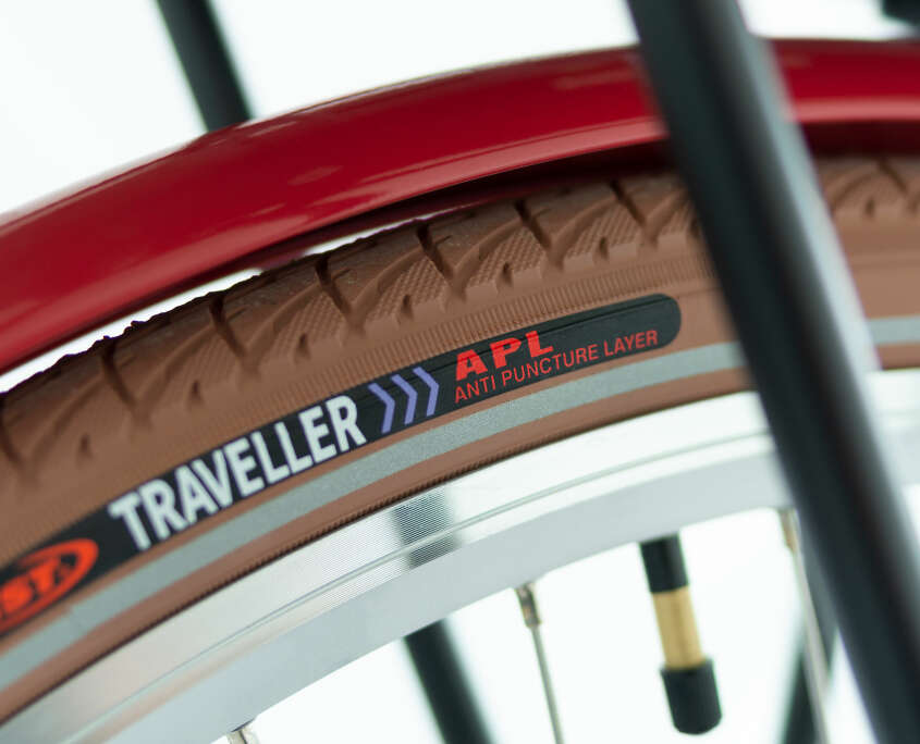 E-Bike Rot Detail Reifen